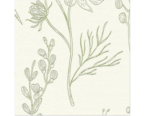 Illustration de plantes sur papier peint