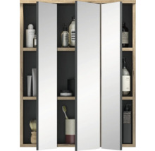 Armoire de toilette à miroir avec étagères pour le rangement de salle de bain