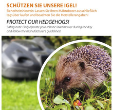 Hinweis zum Schutz von Igeln beim Einsatz von Rasenmährobotern.