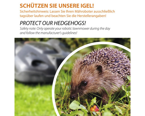 Hinweis zum Schutz von Igeln beim Einsatz von Rasenmährobotern.
