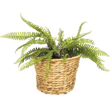 Künstlicher Farn in geflochtenem Korb