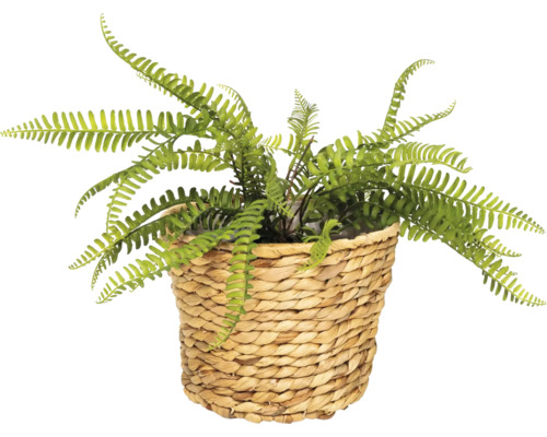 Künstlicher Farn in geflochtenem Korb