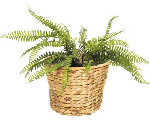 Fougère artificielle dans un panier tressé