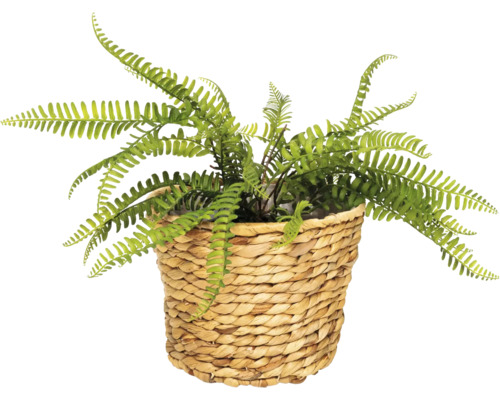 Fougère artificielle dans un panier tressé