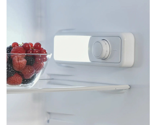Innenraum eines Kühlschranks mit einer Schale Beeren und einem Temperaturregler
