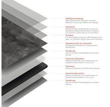 Darstellung des Schichtaufbaus einer Platte mit Oberflächenveredelung, Deckschicht, Grundlack, Digitaldruck oder Uni-Lackschicht, Grundierung, Aluminium-Deckschicht und Plattenkern.