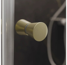 Goldener Türgriff an einer Duschkabine