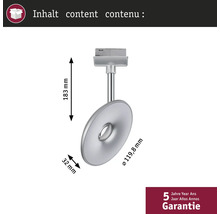 Abbildung einer einzelnen silberfarbenen Deckenleuchte mit den Maßangaben 183 Millimeter Höhe und 119,8 Millimeter Durchmesser sowie dem Garantiehinweis von 5 Jahren
