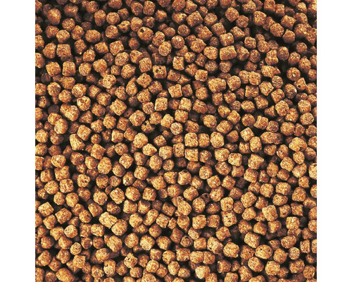 Gros plan sur des granulés pour poissons