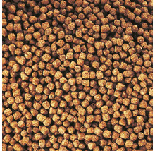 Gros plan de granulés pour poissons