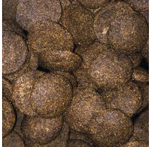 Gros plan sur des boules d'argile pour bassin