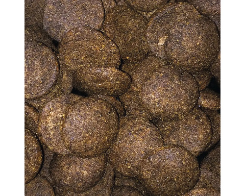 Gros plan sur des boules d'argile pour bassin