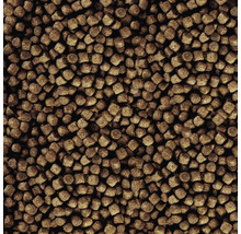 Gros plan de granulés pour poissons