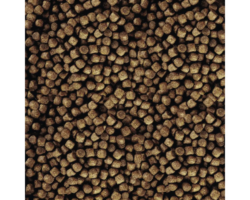 Gros plan de granulés pour poissons