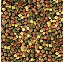 Gros plan sur les granulés de nourriture pour poissons