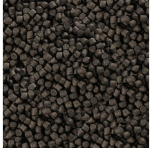 Nourriture noire pour poissons d'étang