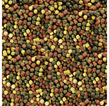 Granulés de nourriture pour poissons de différentes formes