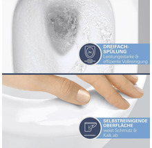 Toilette avec triple rinçage et surface autonettoyante