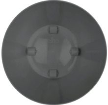 Logo Elho sur une soucoupe pour pots de fleurs avec roulettes