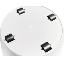 Runde Pflanzenroller Unterseite mit vier Rollen