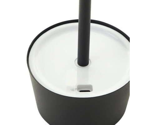 Detailaufnahme einer WC-Garnitur mit Bürste