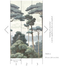 Wald-Fototapete mit Bäumen, mehrteilig, Maße 159 cm x 280 cm