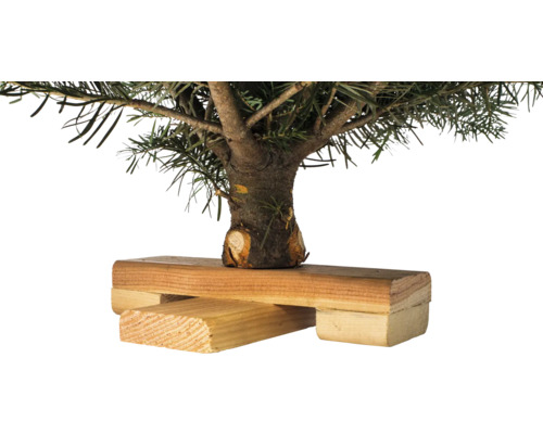 Tronc de sapin dans un support en bois