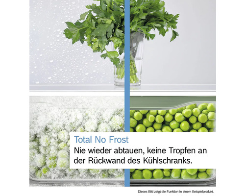 Darstellung eines Kühlschranks mit Total No Frost Funktion, mit Petersilie im Glas und Erbsen in einer Schublade