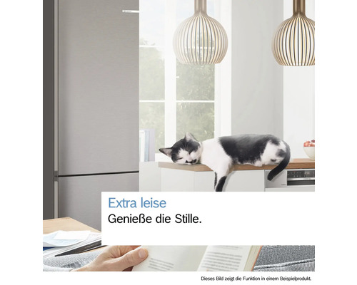 Szene mit einem Kühlschrank, Geschirrspüler und einer Katze, die auf der Arbeitsplatte liegt