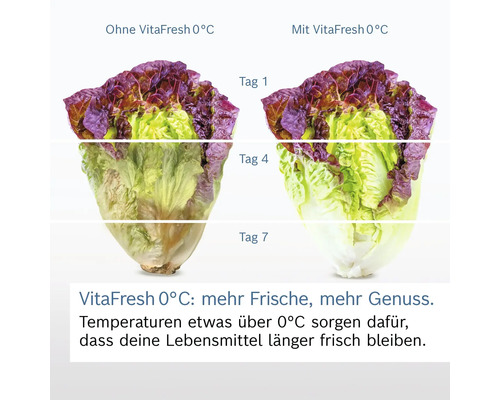 Frischevergleich von Salat mit und ohne VitaFresh-Technologie im Kühlschrank