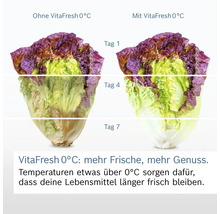 Vergleich der Salatfrische mit und ohne VitaFresh 0 Grad Celsius Funktion im Kühlschrank über sieben Tage.