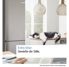 Kühlschrank in einer Küche mit einer Katze, die auf der Arbeitsplatte schläft
