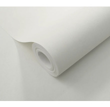 Eine Rolle Raufasertapete