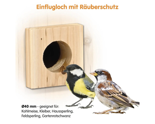 Holz Vogelhaus mit Einflugloch und zwei Vögeln