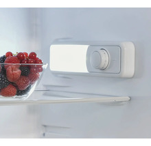 Innenraum eines Kühlschranks mit einer Schale mit Beeren und einem Temperaturregler