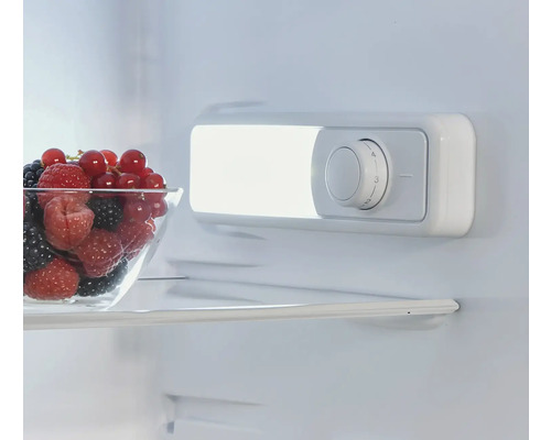 Innenraum eines Kühlschranks mit Temperaturregler und einer Schale mit Beeren