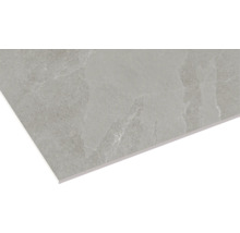 Carreau aspect pierre