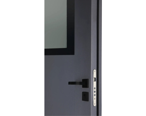 Vue détaillée d'une porte grise avec insert en verre, poignée de porte noire et gâche argentée