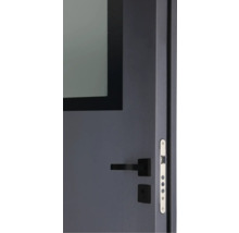 Vue détaillée d'une porte grise avec insert en verre, poignée de porte noire et gâche argentée