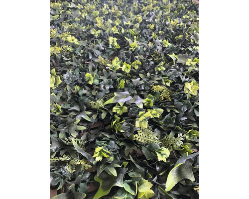 Künstliche Pflanzenwand mit verschiedenen grünen Blättern.