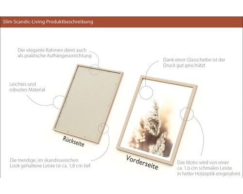 Bilderrahmen mit Glasabdeckung und Aufhängevorrichtung