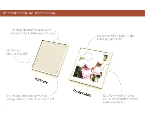 Slim Scandic-Living Bilderrahmen mit Glasabdeckung und Aufhängevorrichtung