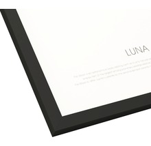 Nahaufnahme eines gerahmten Drucks mit dem Text Luna und Informationen über den Mond.