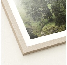Gerahmtes Bild mit Waldmotiv