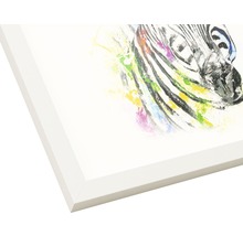 Gerahmtes Bild Colourful Zebra 33x33 cm