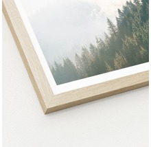 Image encadrée avec un motif de forêt