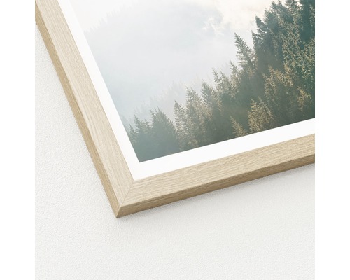 Image encadrée avec un motif de forêt