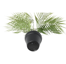 Kunstpflanze im Topf, Detailansicht von oben