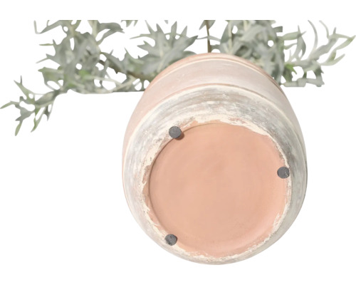 Blick auf die Unterseite eines Blumentopfs mit Pflanze