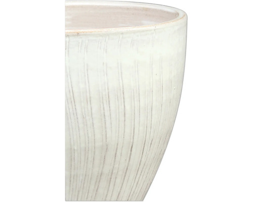 Vue détaillée d'un pot de fleurs structuré